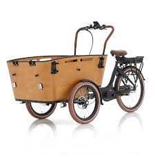 Electric Cargo Bike