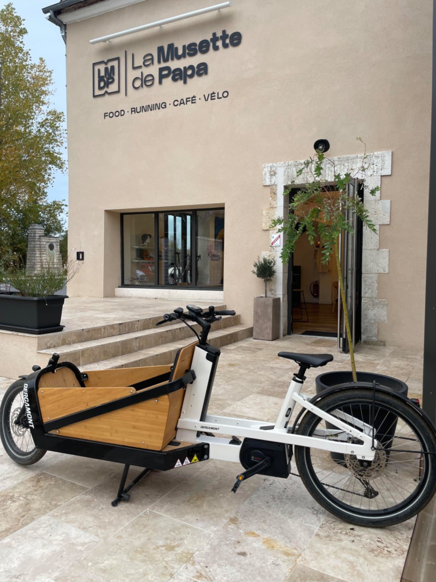 Electric Cargo Bike for 1-2 Children