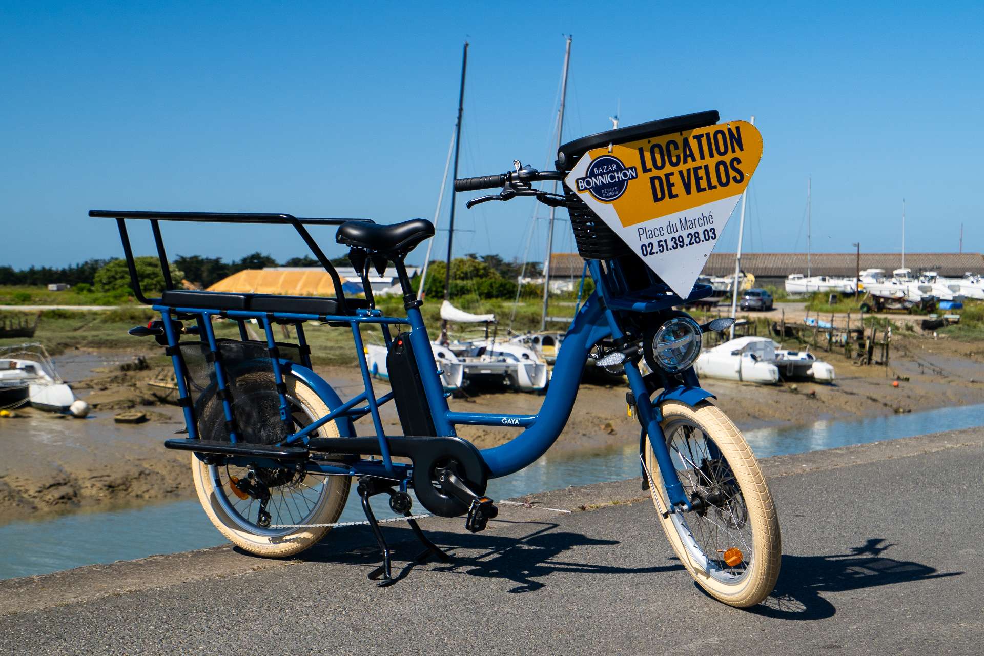 Electric Cargo Bike for 3 People
