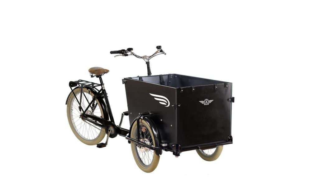Electric Cargo Trike (150-190cm)
