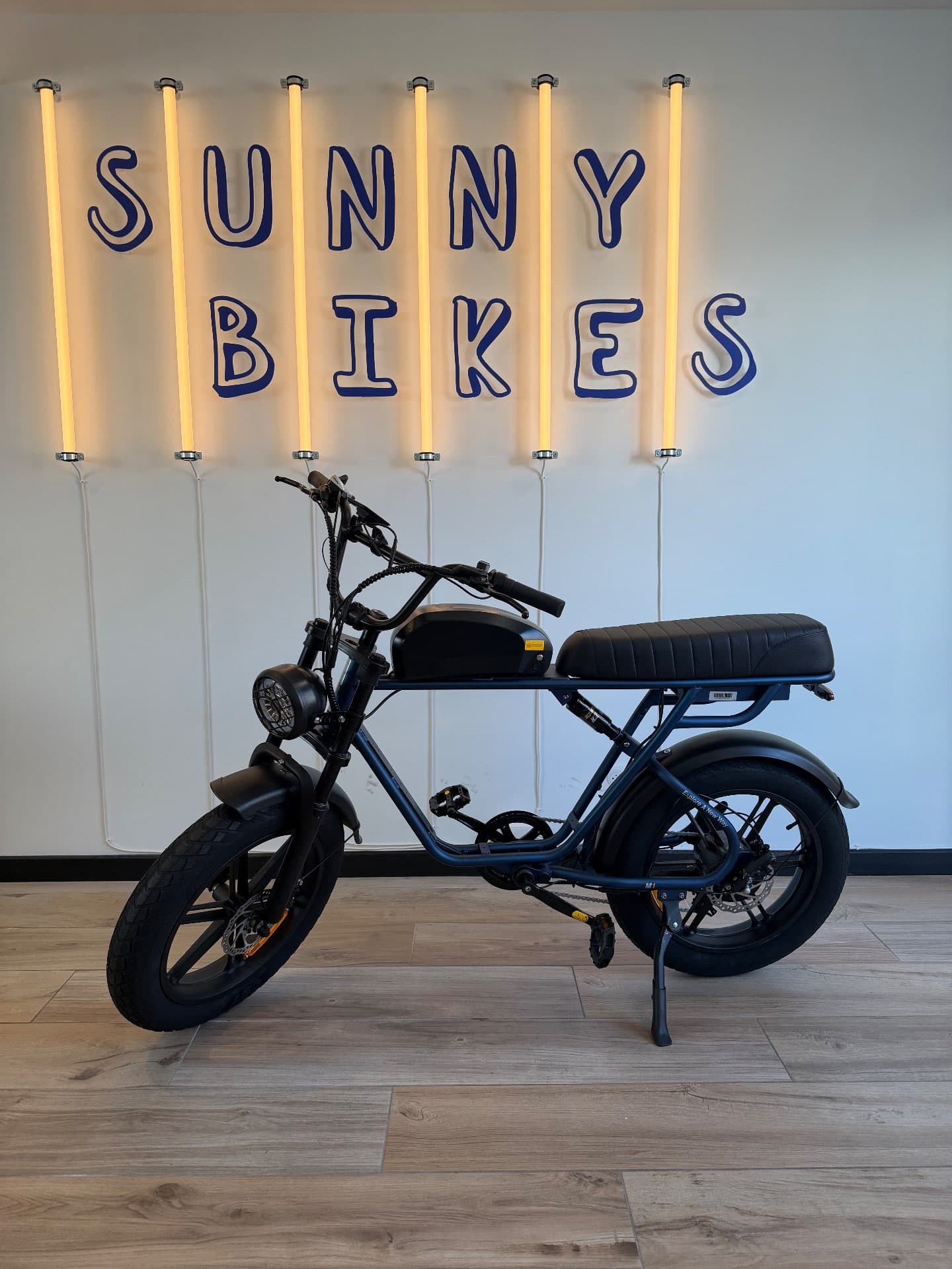 Electric Fat Bike - 2 Seats - One Size – Vendays-Montalivet