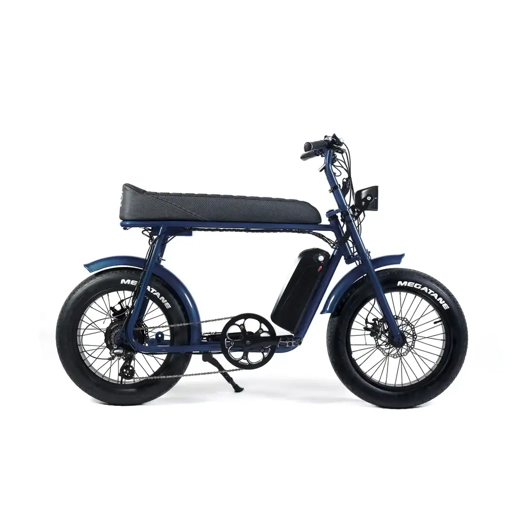 Electric Fat Bike - 5'7" to 6'5"