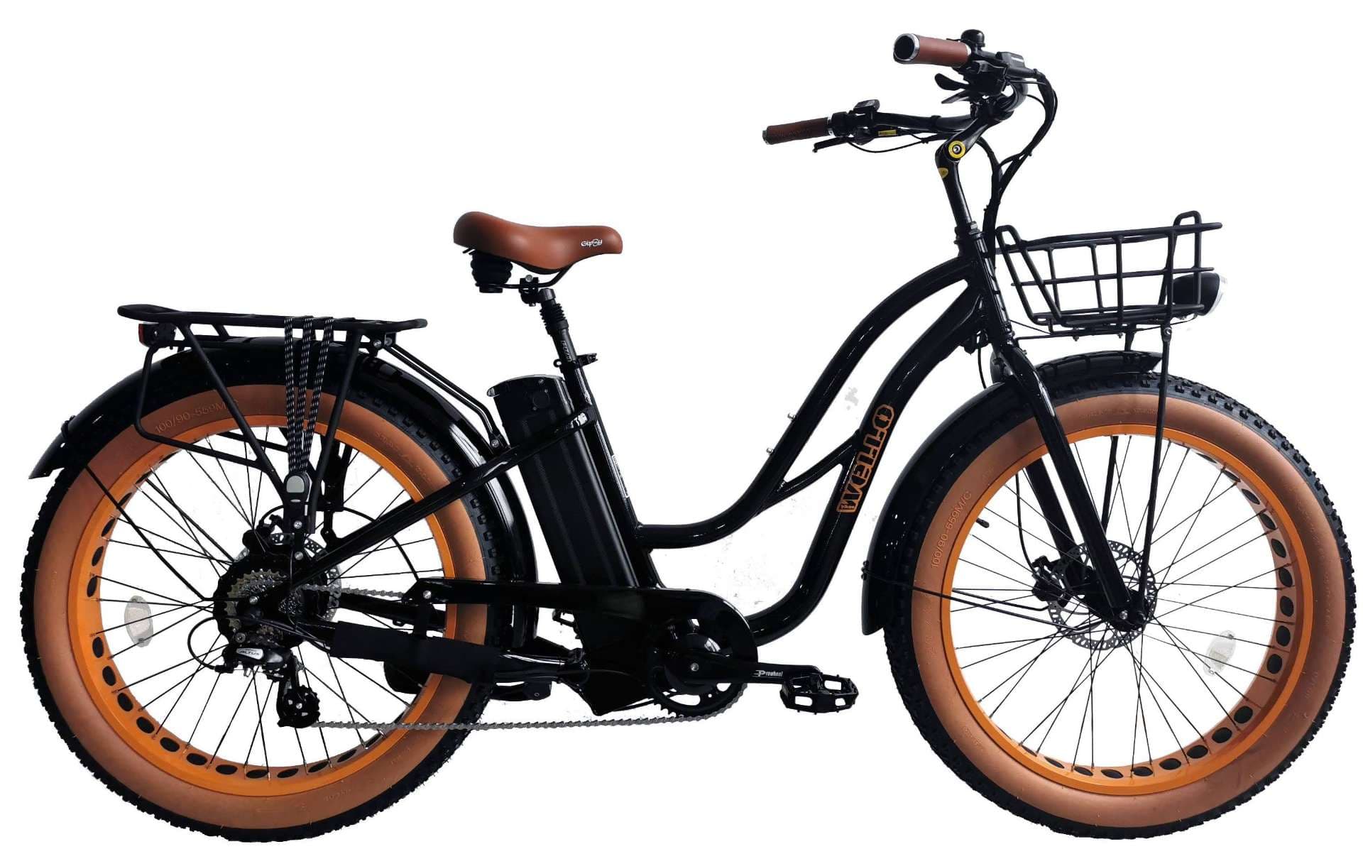 Electric Fat Bike Beach Cruiser – La Teste-de-Buch
