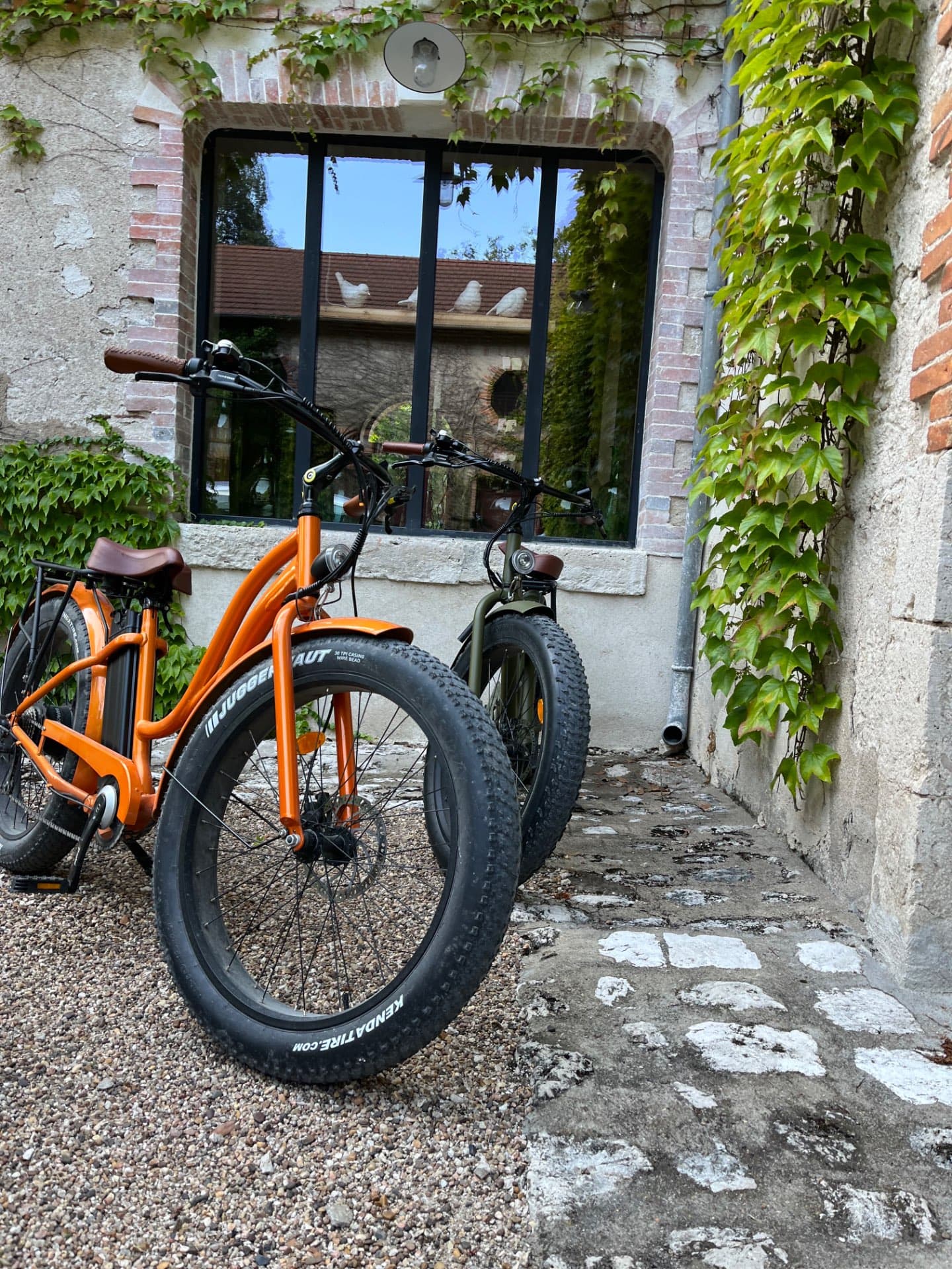 Electric Fat Bike