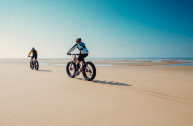 Electric Fatbike