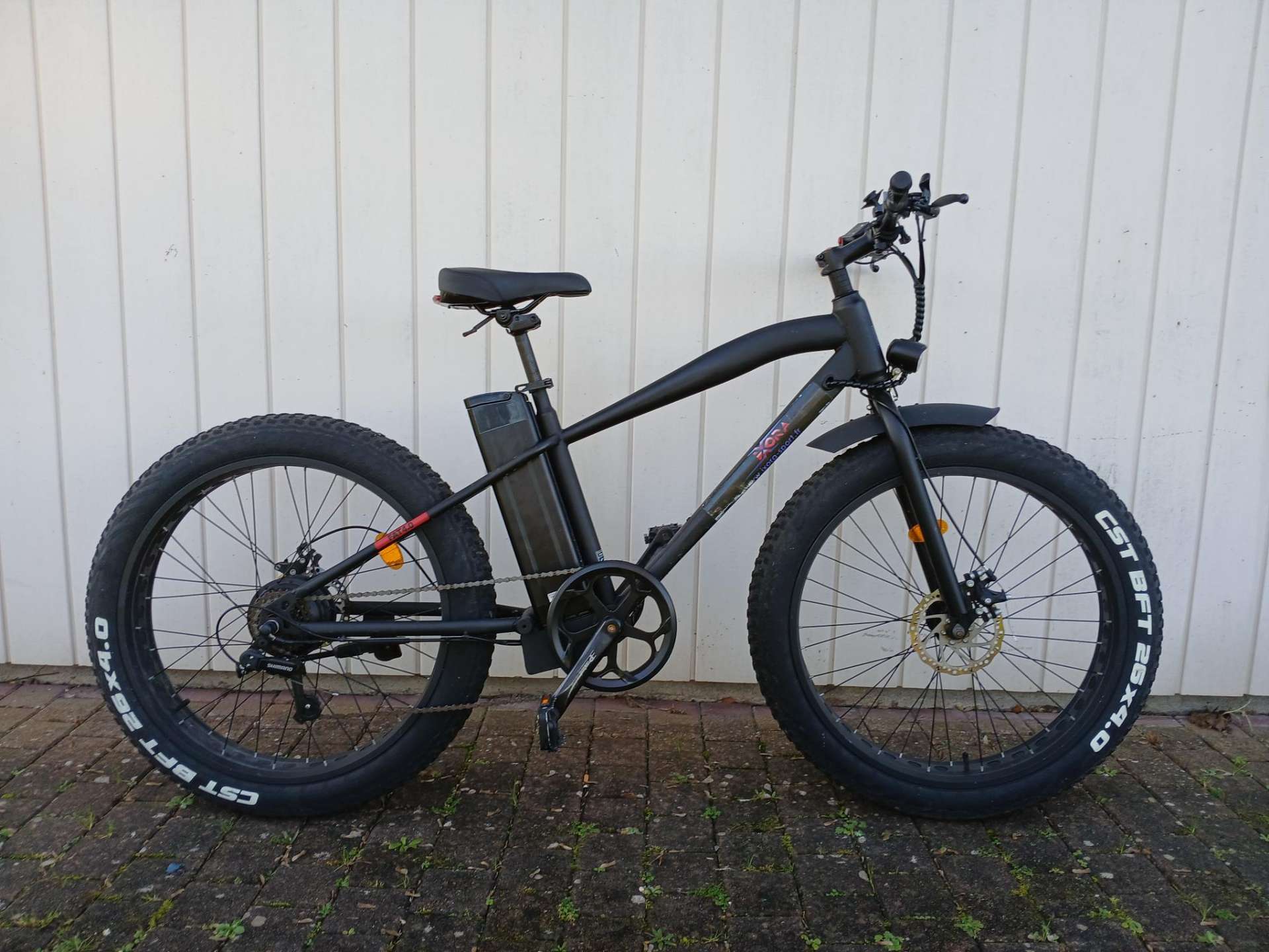 ELECTRIC FATBIKE