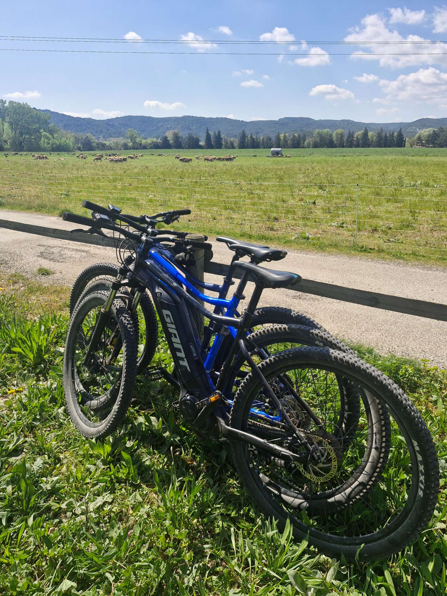 Electric Mountain Bike