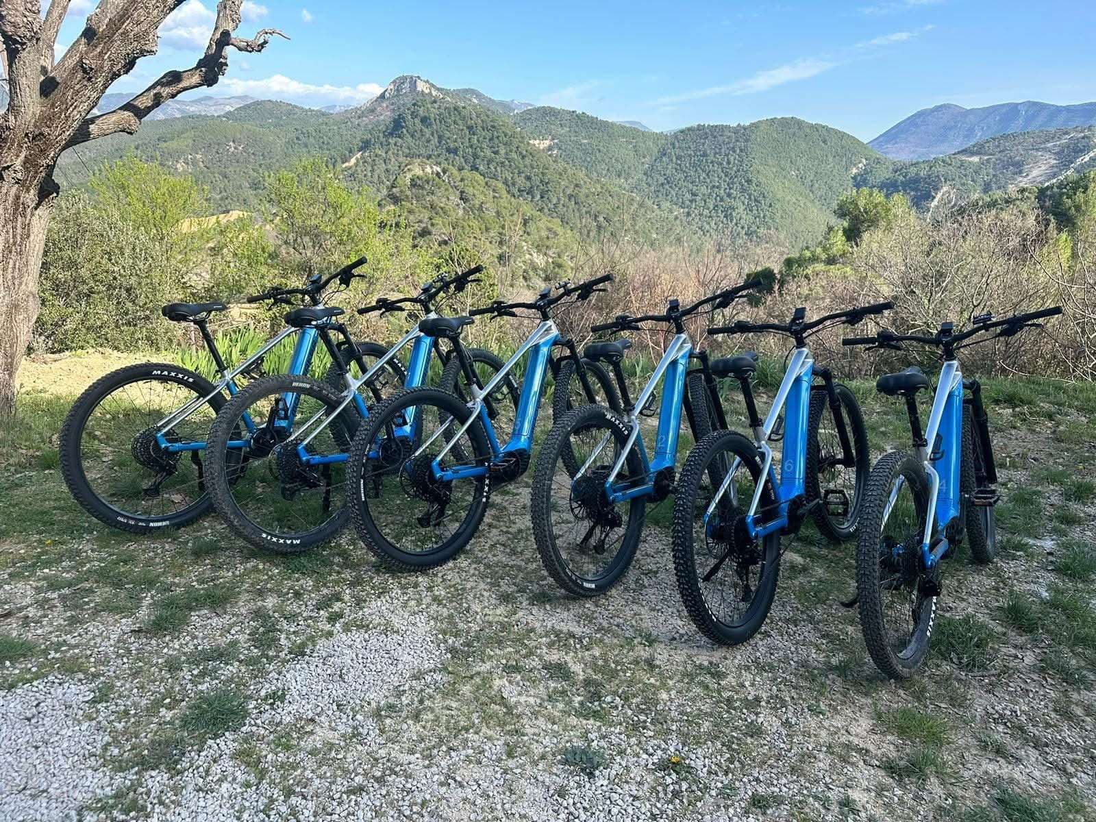 Electric Mountain Bike
