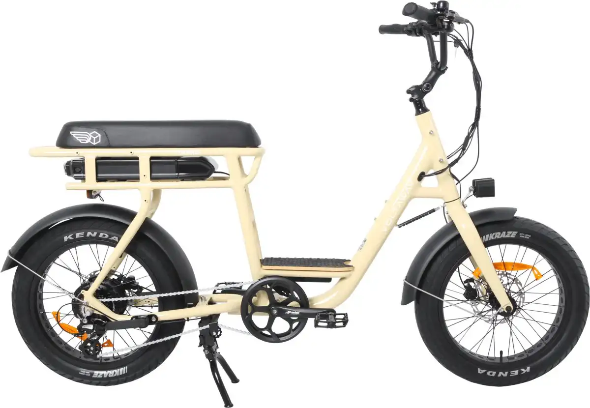 ELECTRIC PASSENGER BIKE