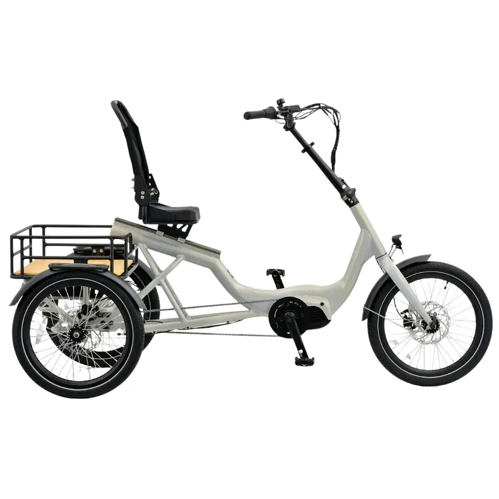 Electric Semi-reclined Tricycle