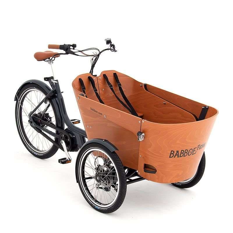 Family Cargo Bike Triporteur