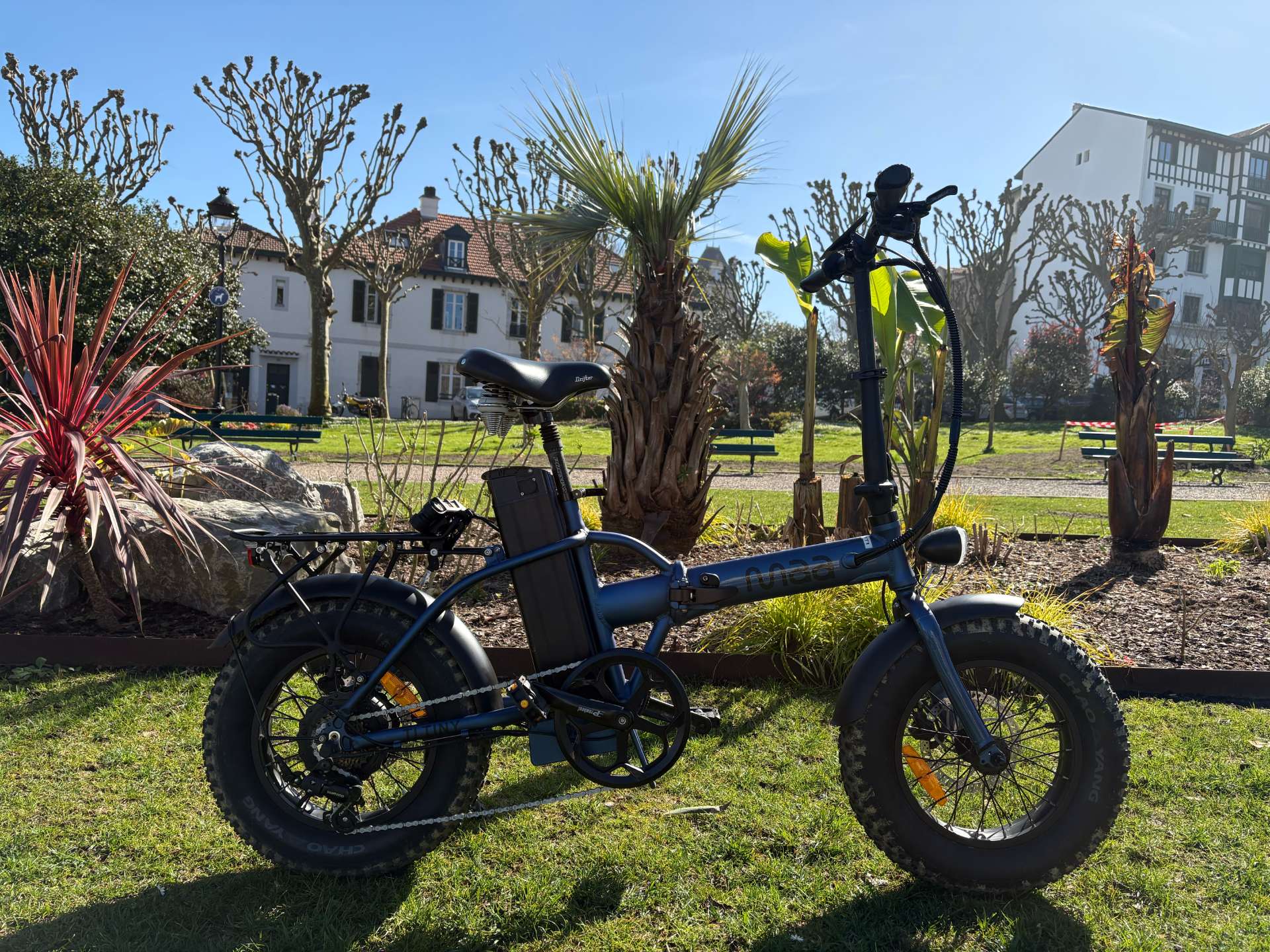 Fat Bike - BEACH
