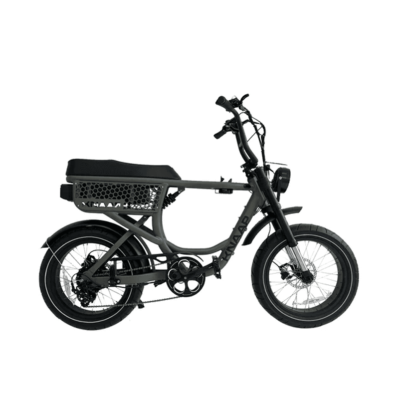 Fat Bike Two-Seater + Insurance
