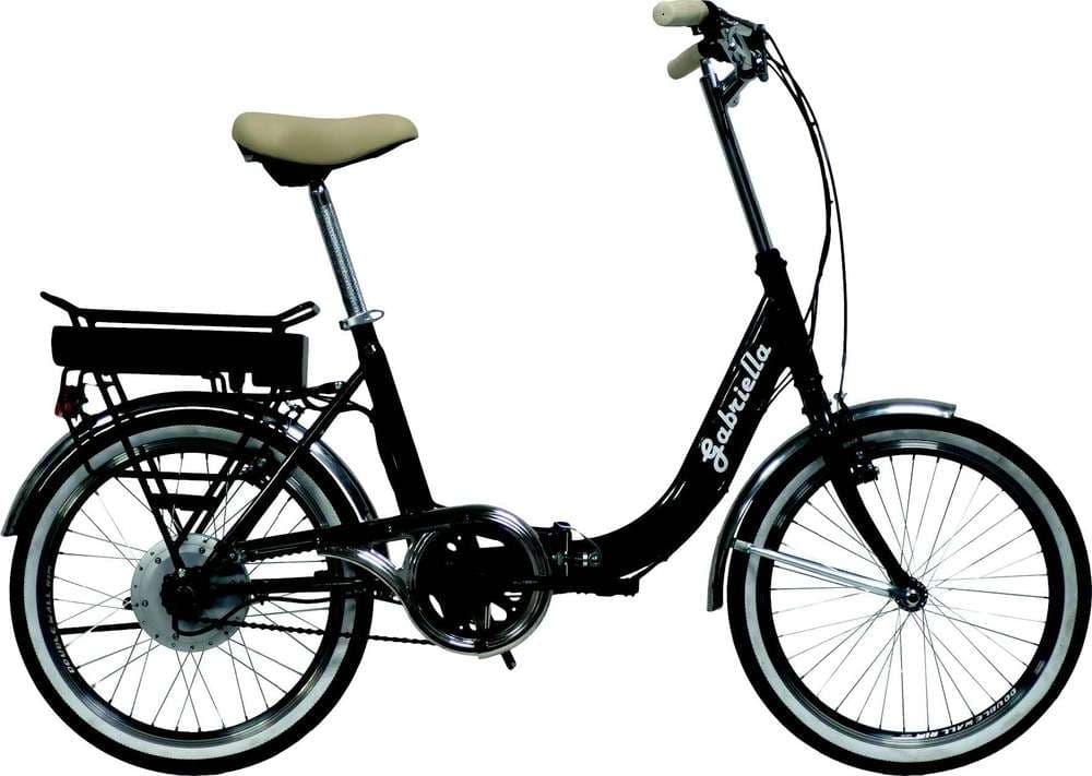 Folding Electric Bike