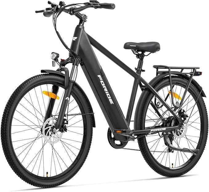 Foride Vélo électrique Roamer 1