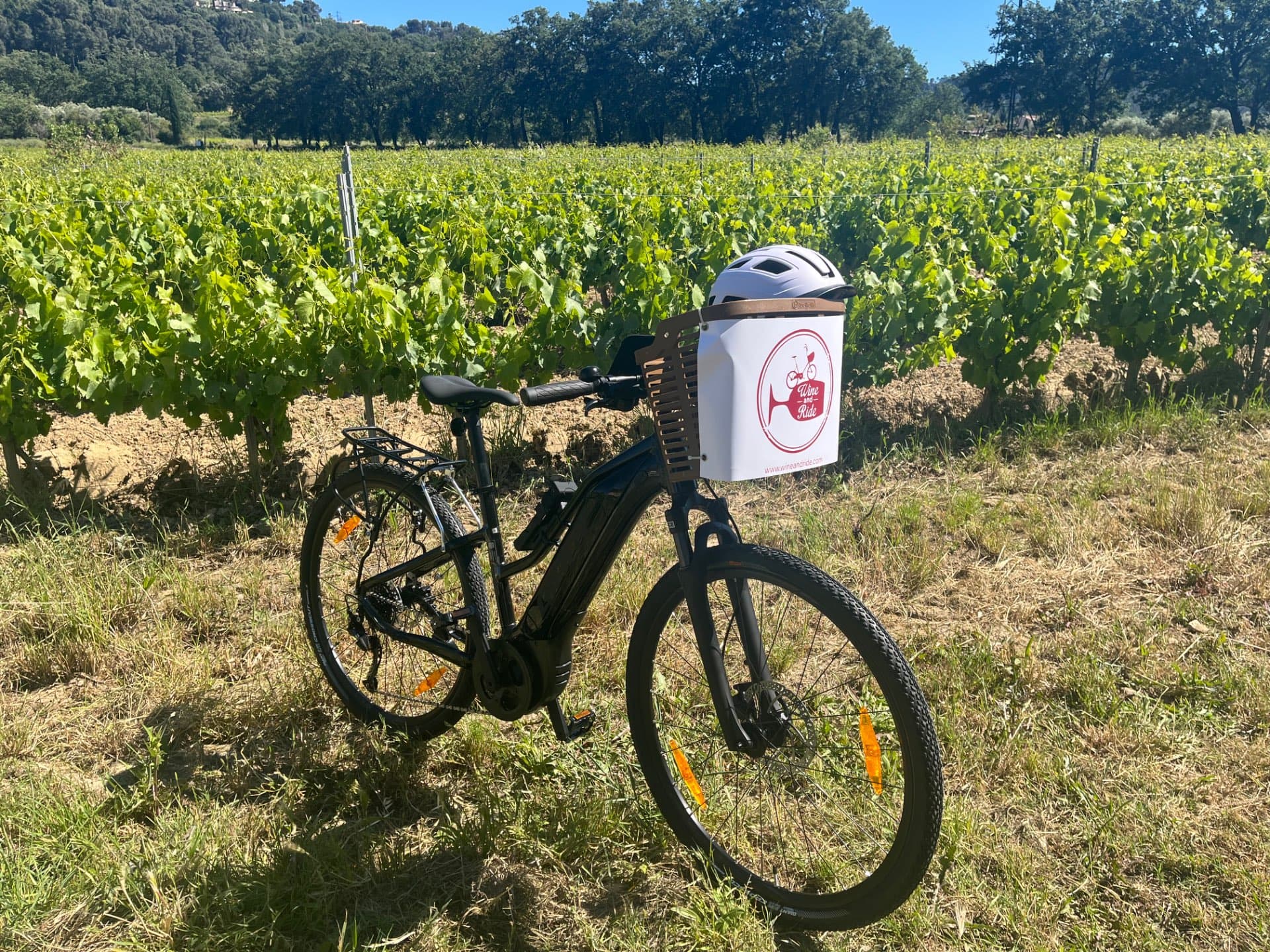 GIANT Electric Bikes