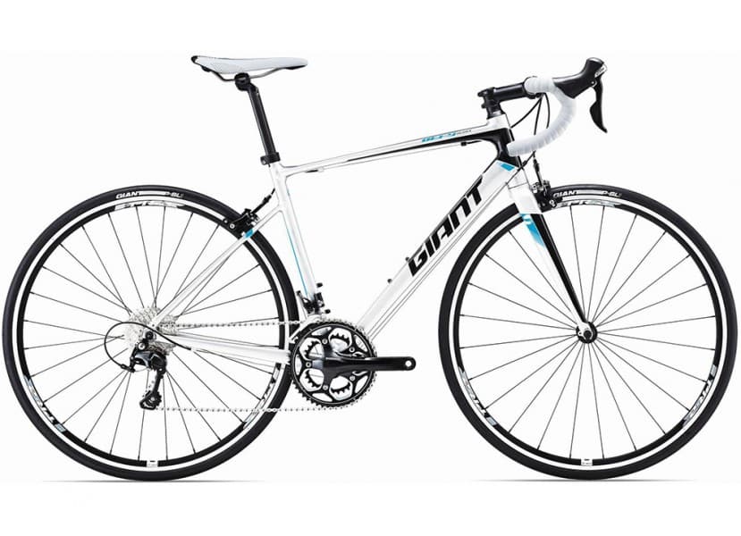 GIANT ROUTE M