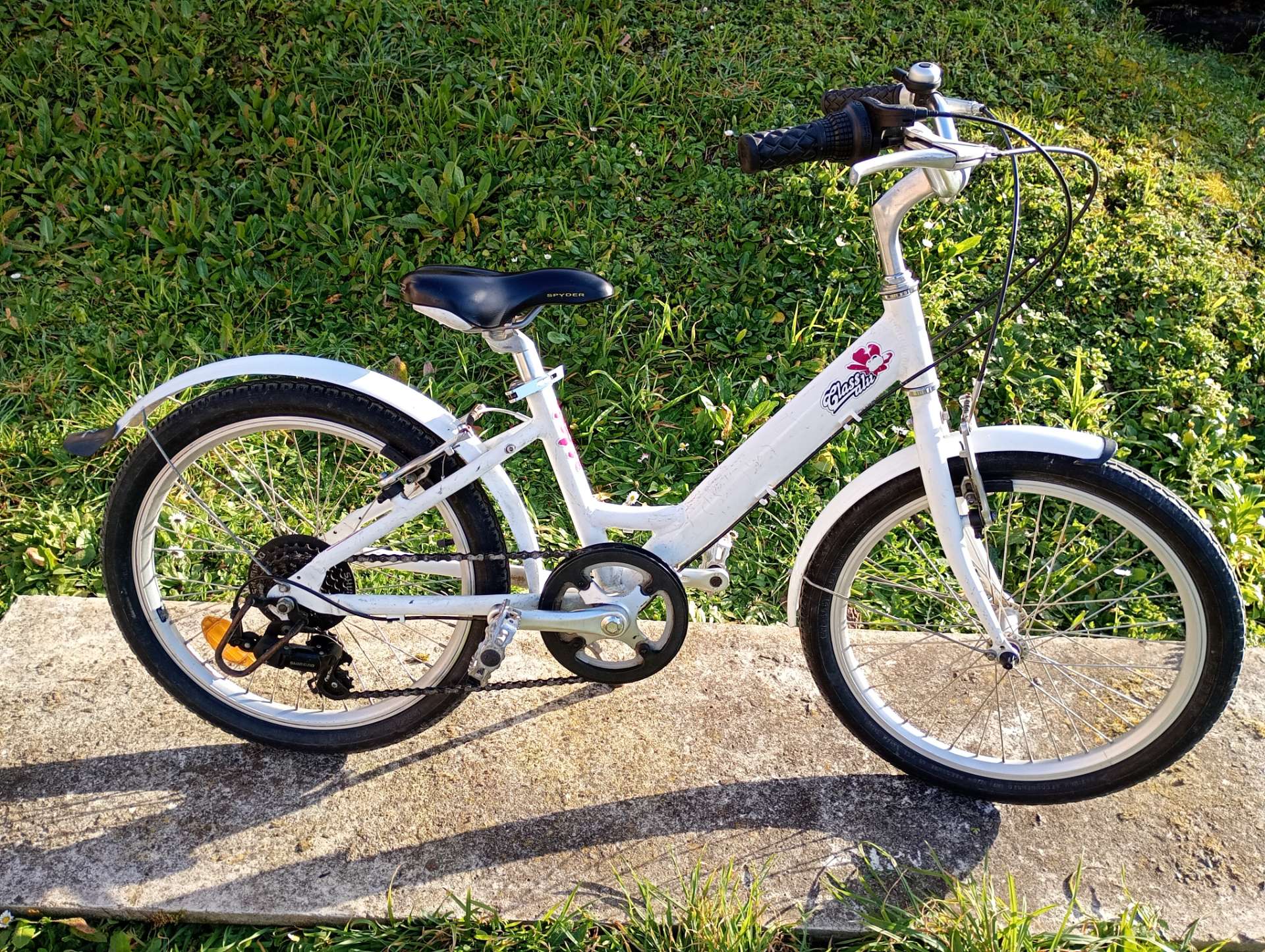 Girl's 20-inch Bike / 7-9 years old / 120-135 cm