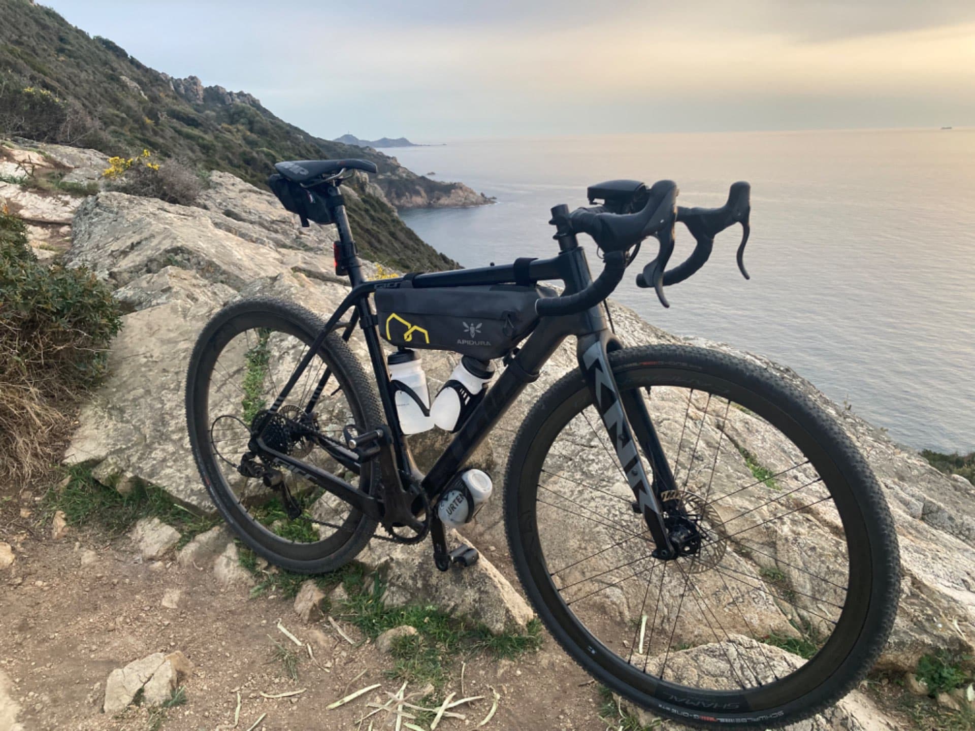 Gir's RNR ekar 54