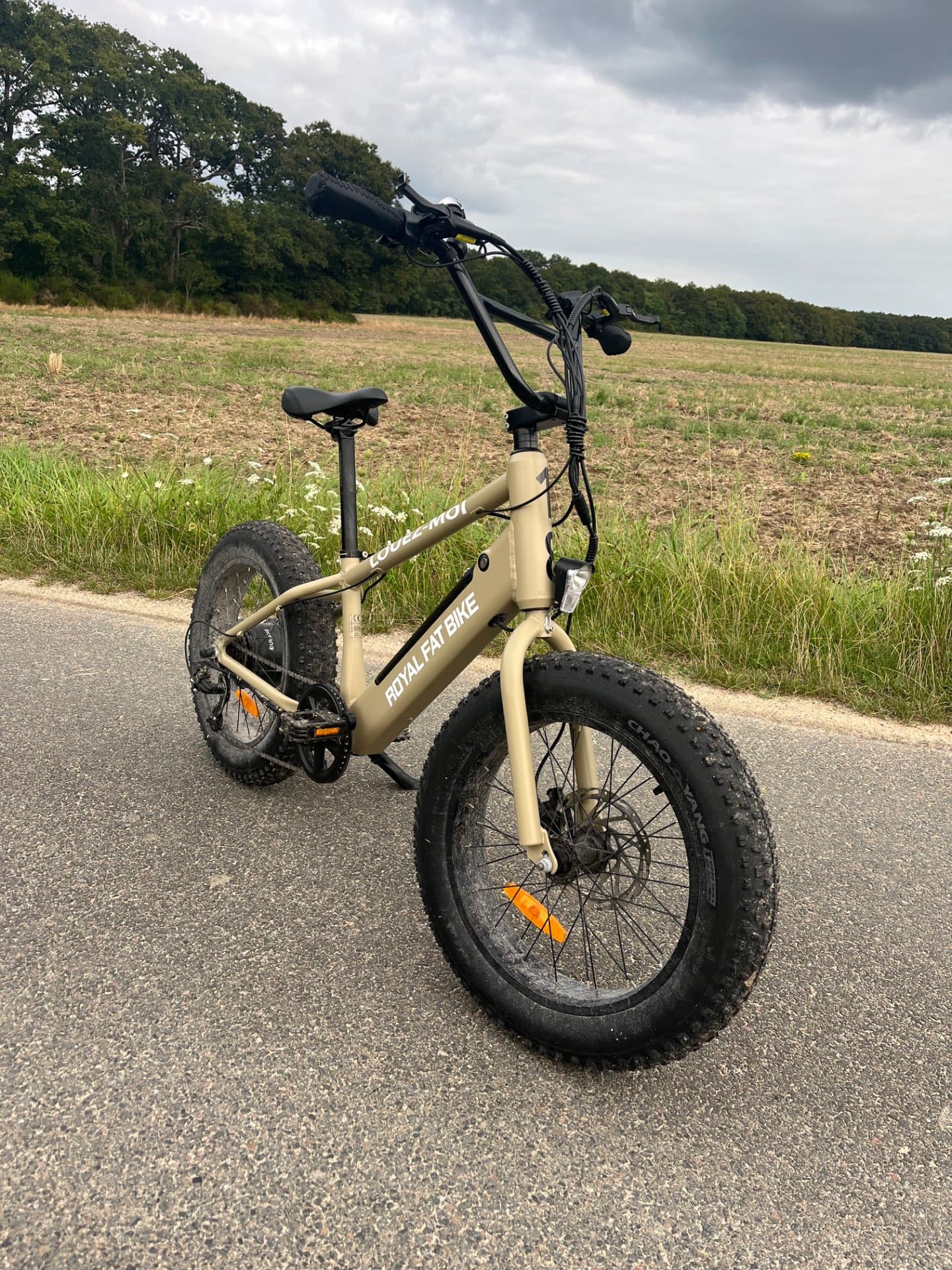Junior Fat Bike