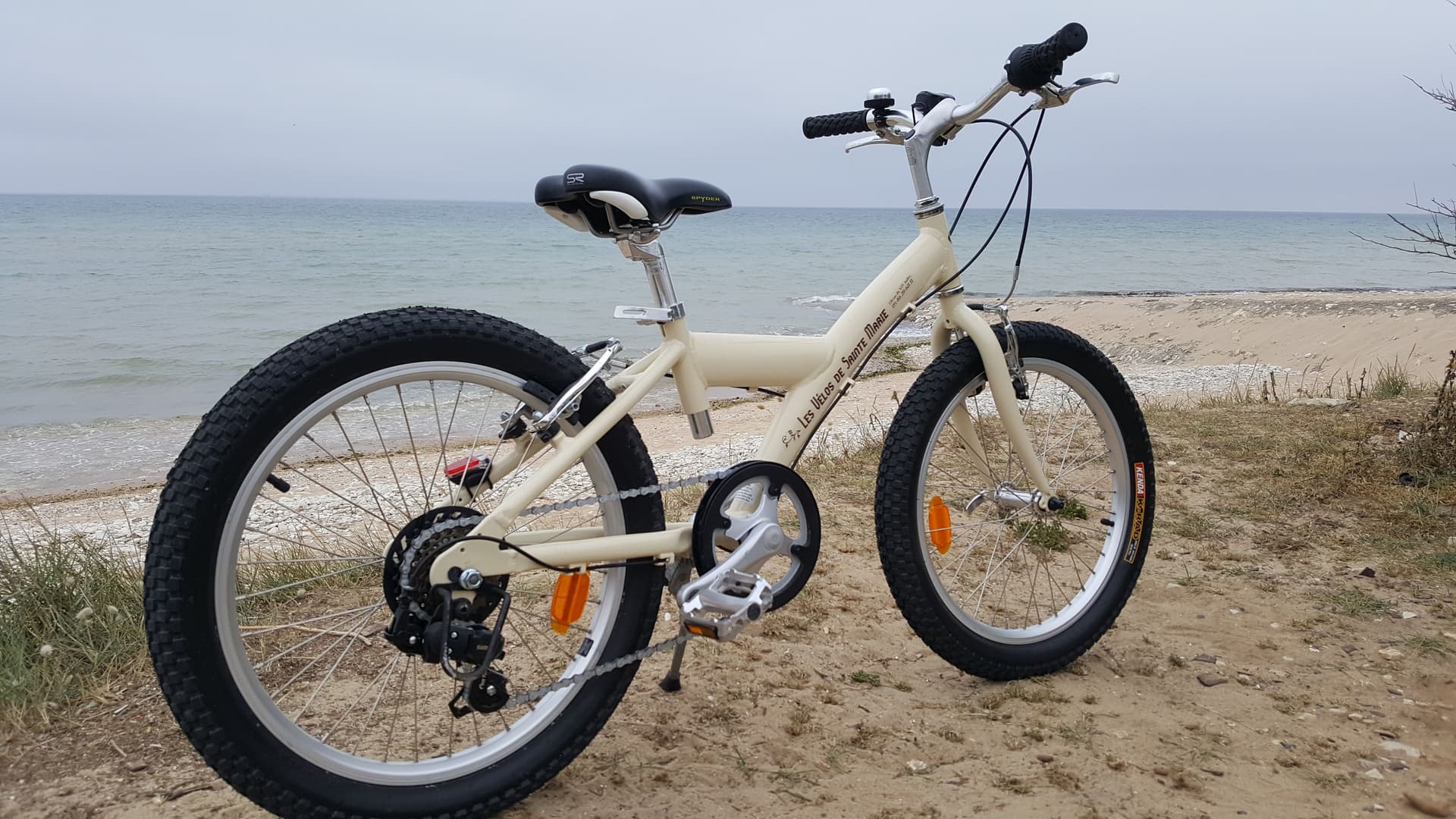 Kids' Bike 20 Inches