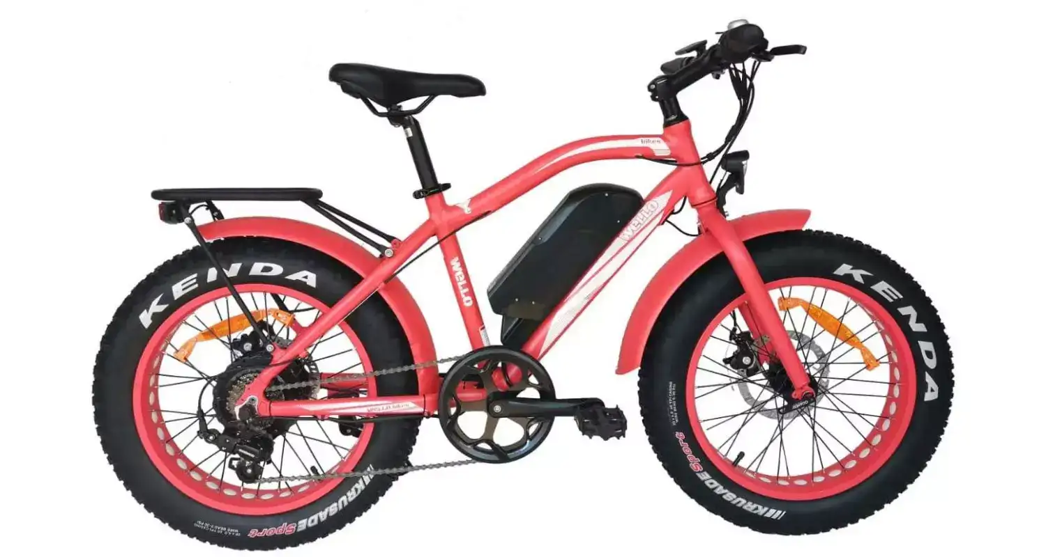 KIDS FAT BIKE