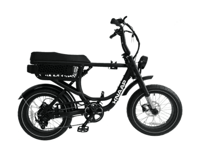Knaap Bike (Two-Seater)
