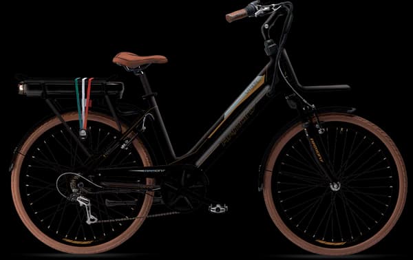 LATINA Electric Bike - 28"