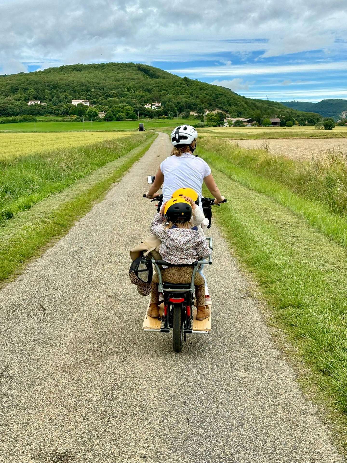 Longtail Cargo Bike
