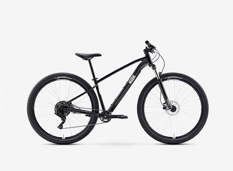 Mountain bike L