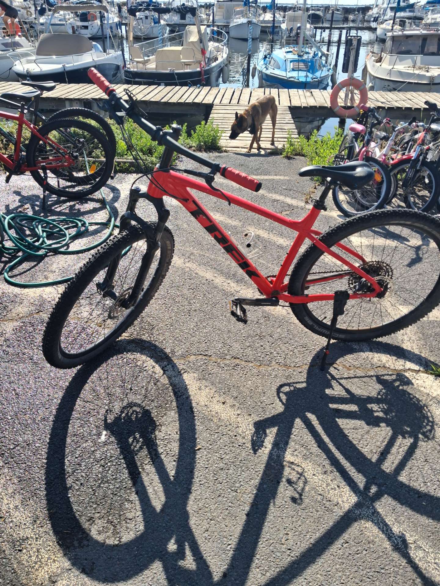 MTB - L – Marseillan