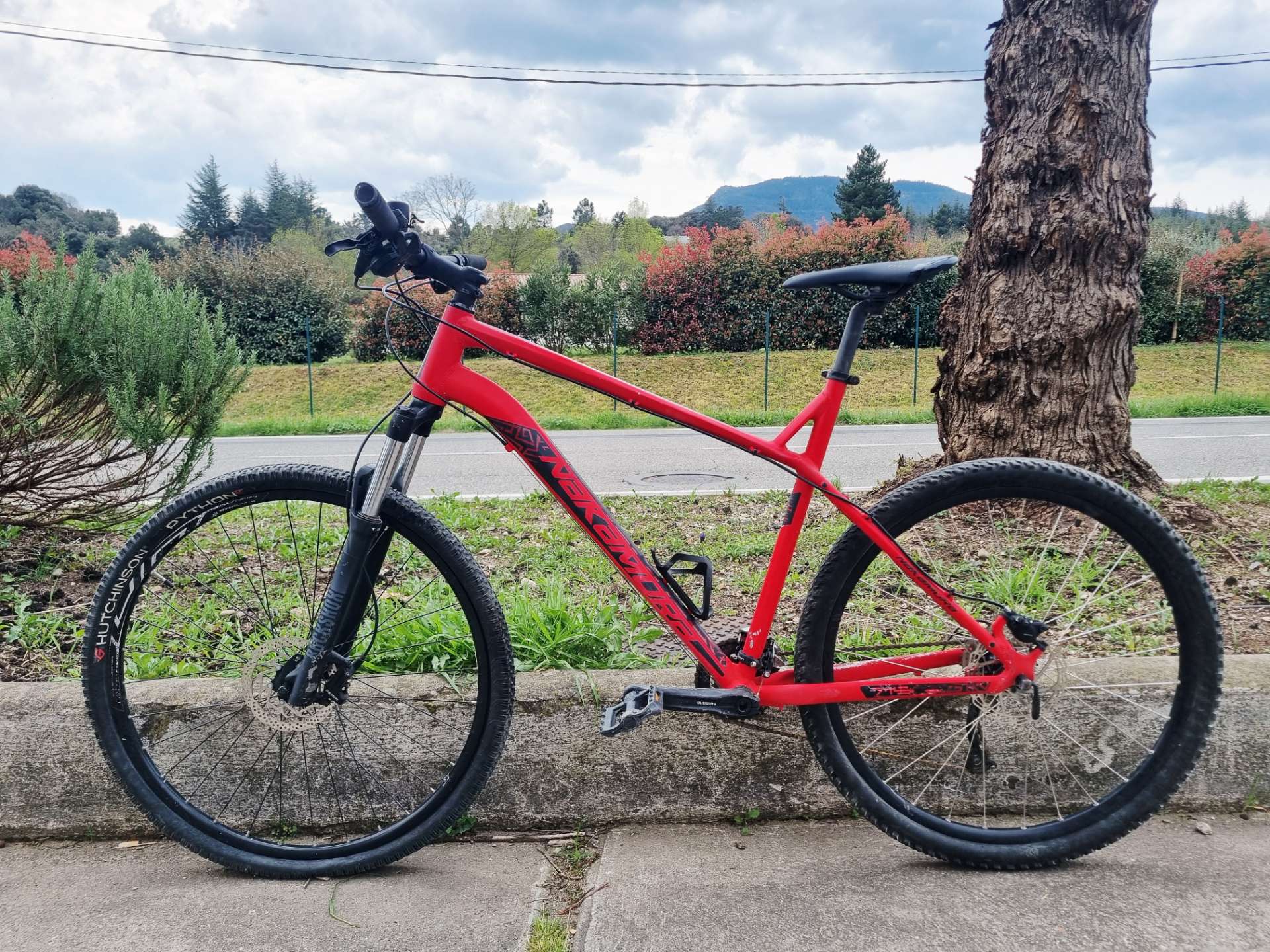 Nakamura Red Mountain Bike (L)