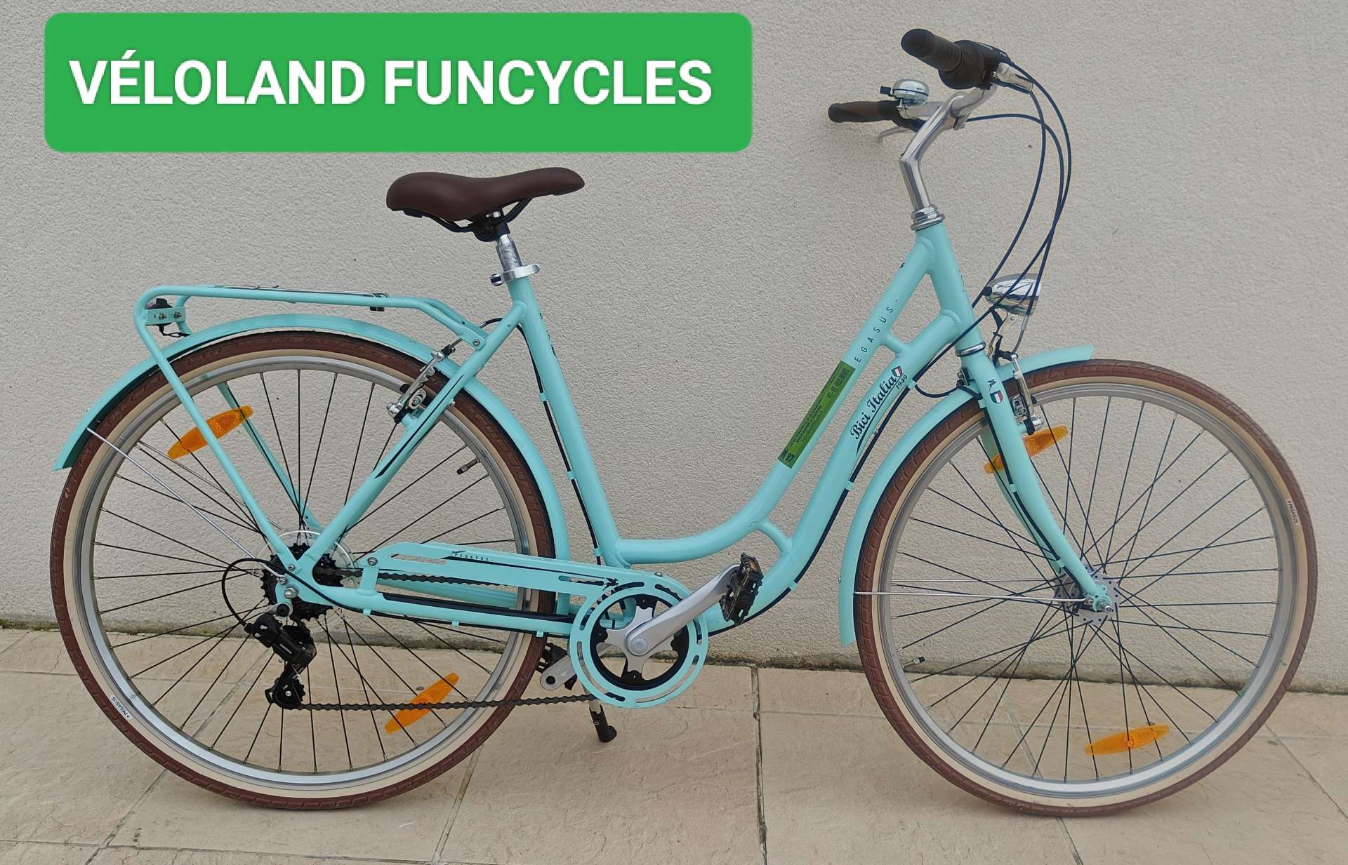 Pegasus Bici Italia Size S