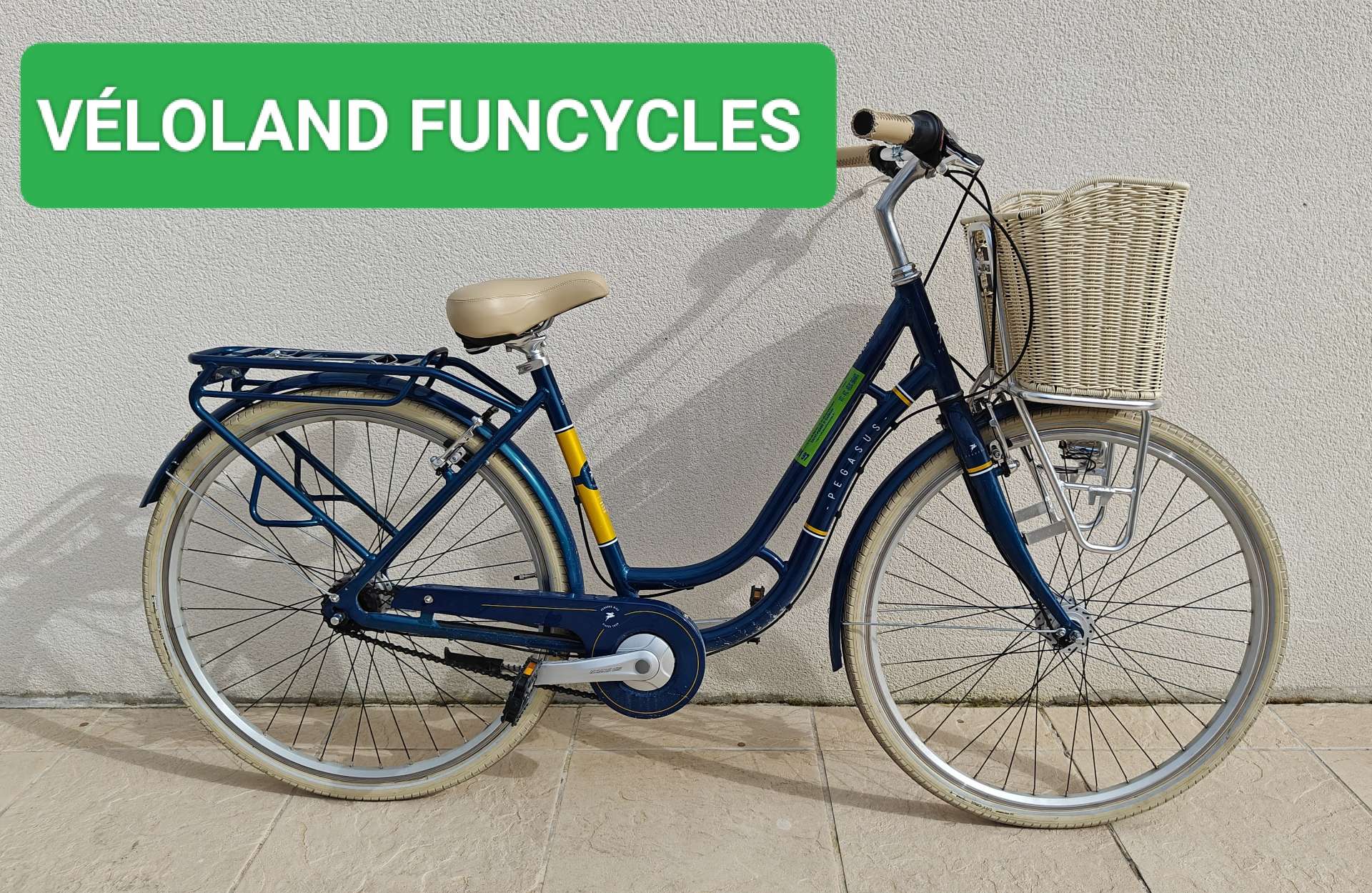 Pegasus Piazza Tour Lady Size S (with front basket) – Saint-Pierre-d'Oléron