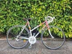 Peugeot Racing Bike/Lady/Cannes/Size S