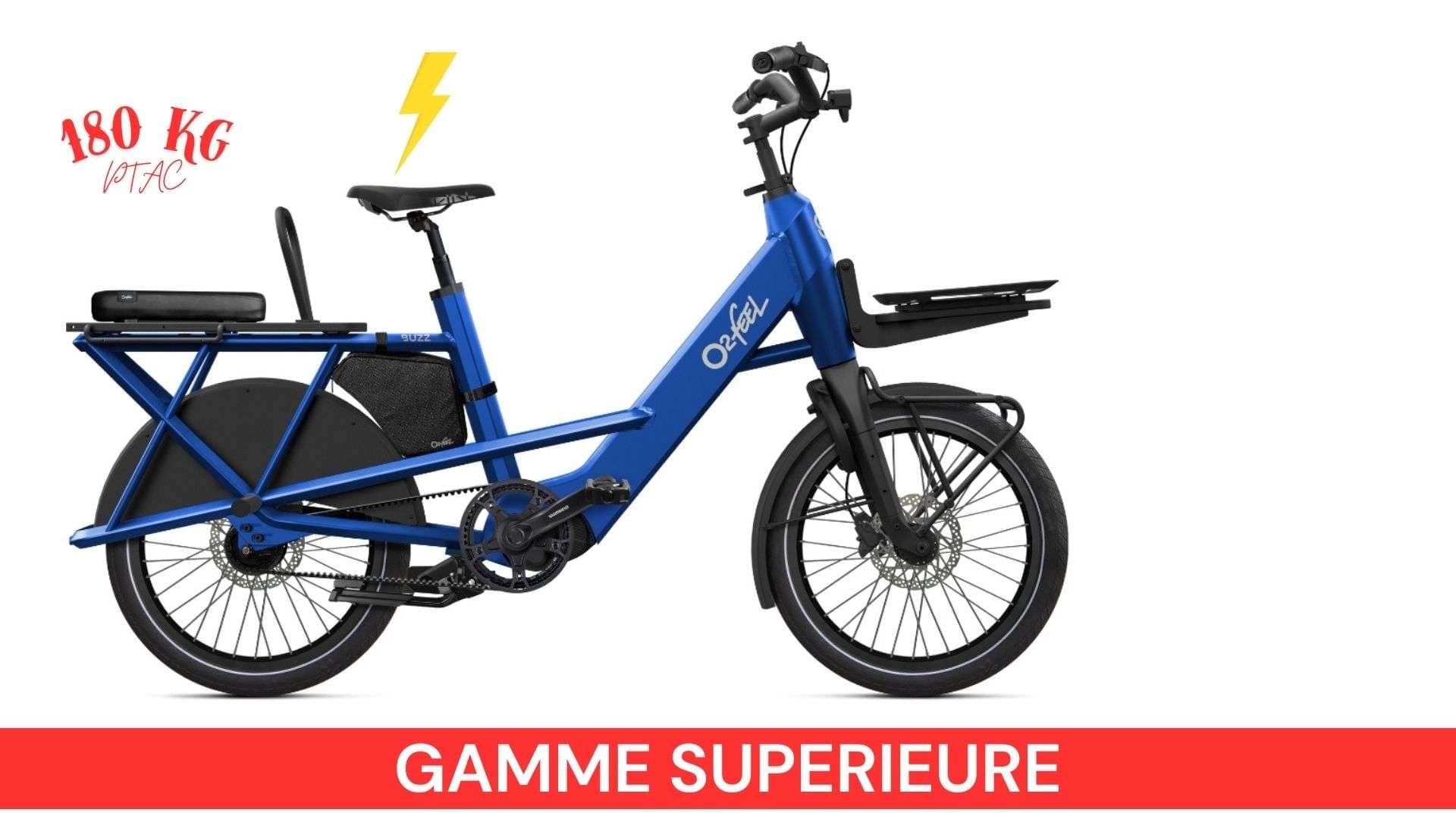 Premium Cargo Electric Bike