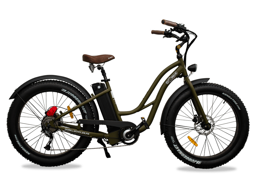 Premium Electric Fatbike