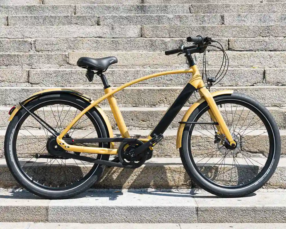 REINE BIKE Electric Bike VAE