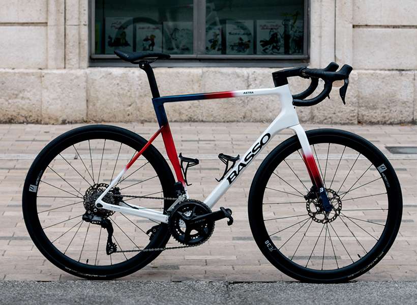Road Bike - Size L (173 – 183 cm)