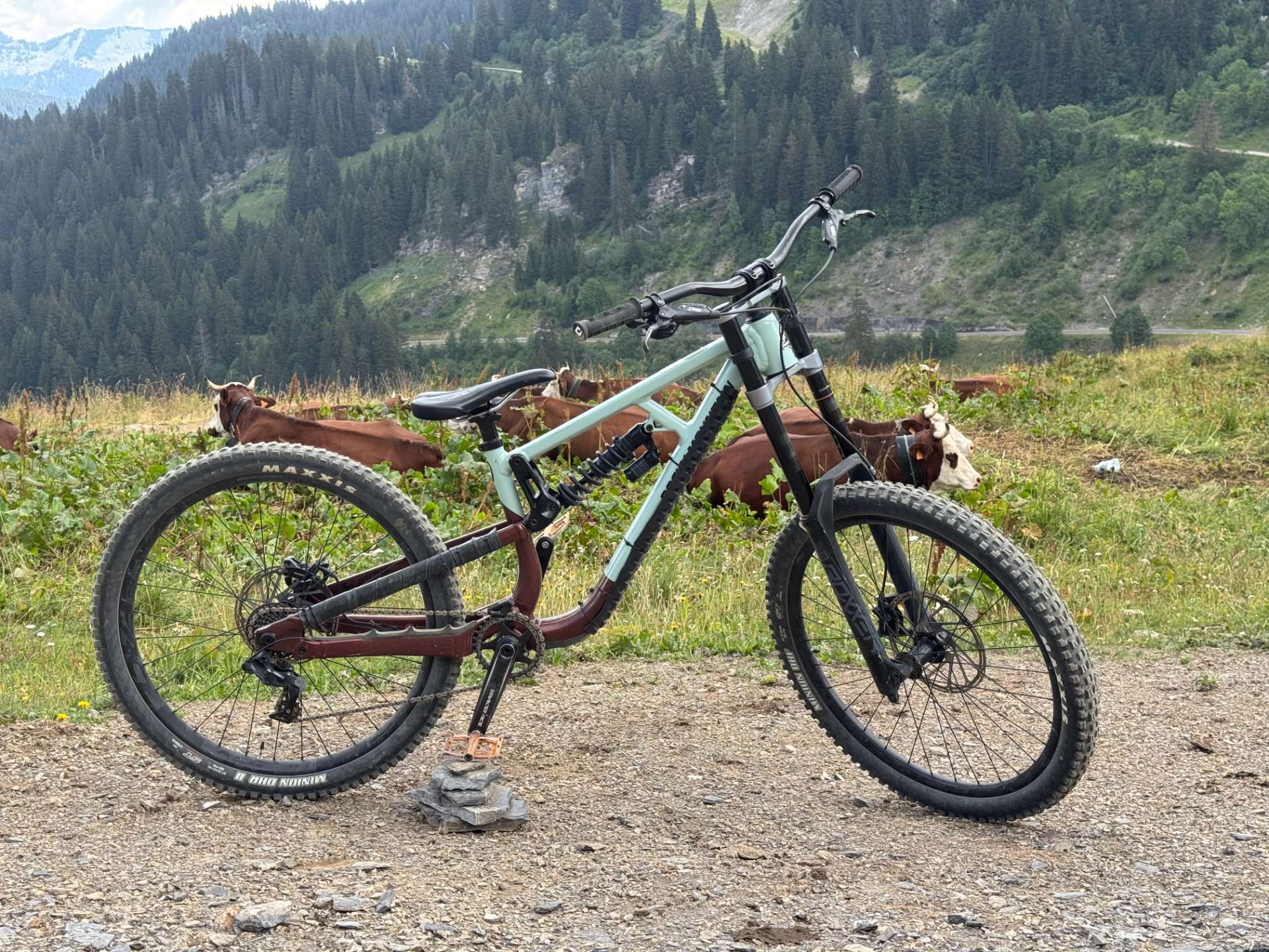 Rocky Mountain Slayer park - Size S