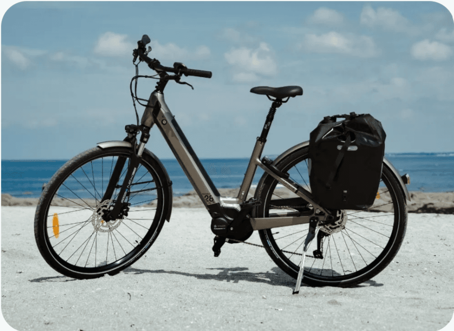 Samedi 28.2 Electric Assist Bike