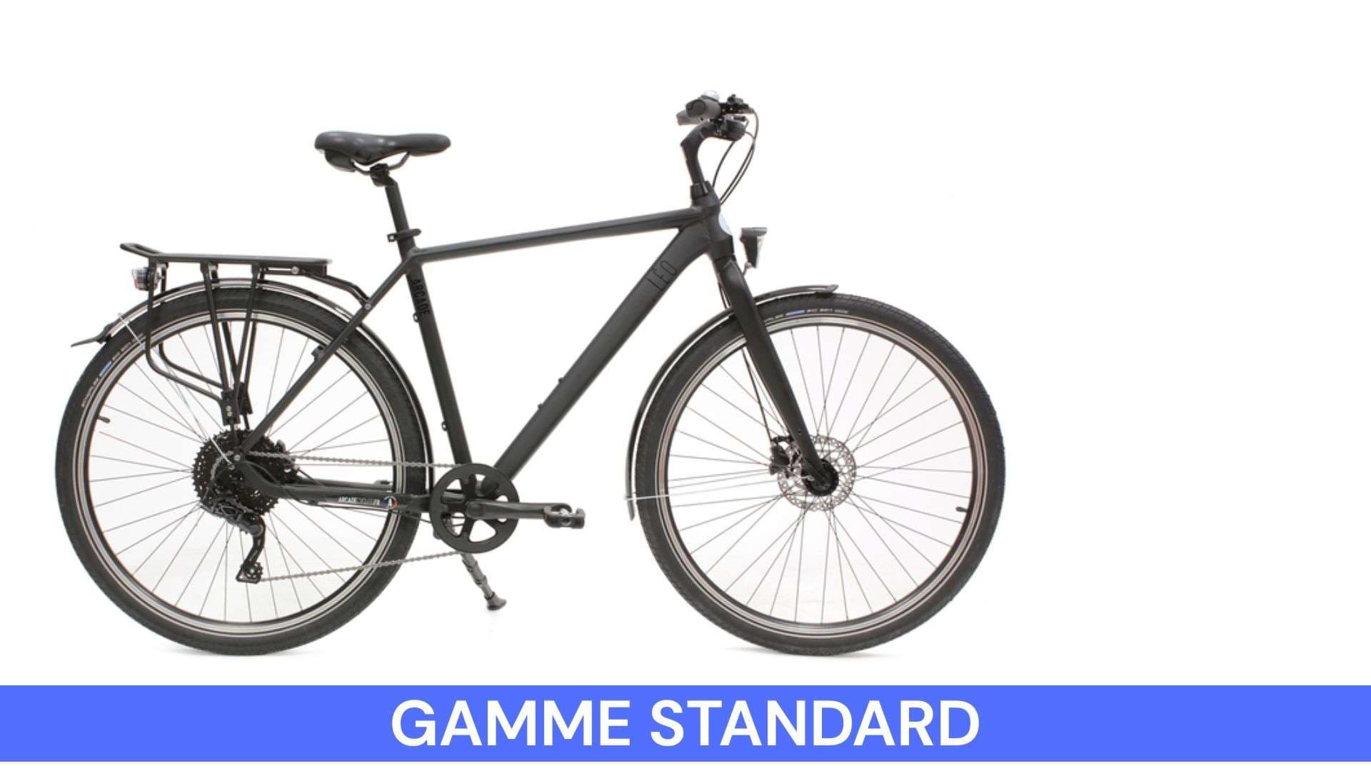 Standard Range L Bike Large Size