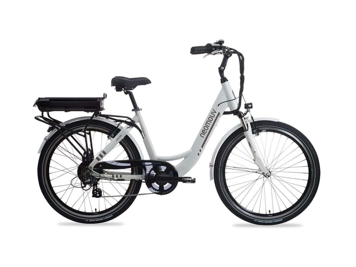 VAE Neomouv 24 - 5 speeds (large L) - basket option