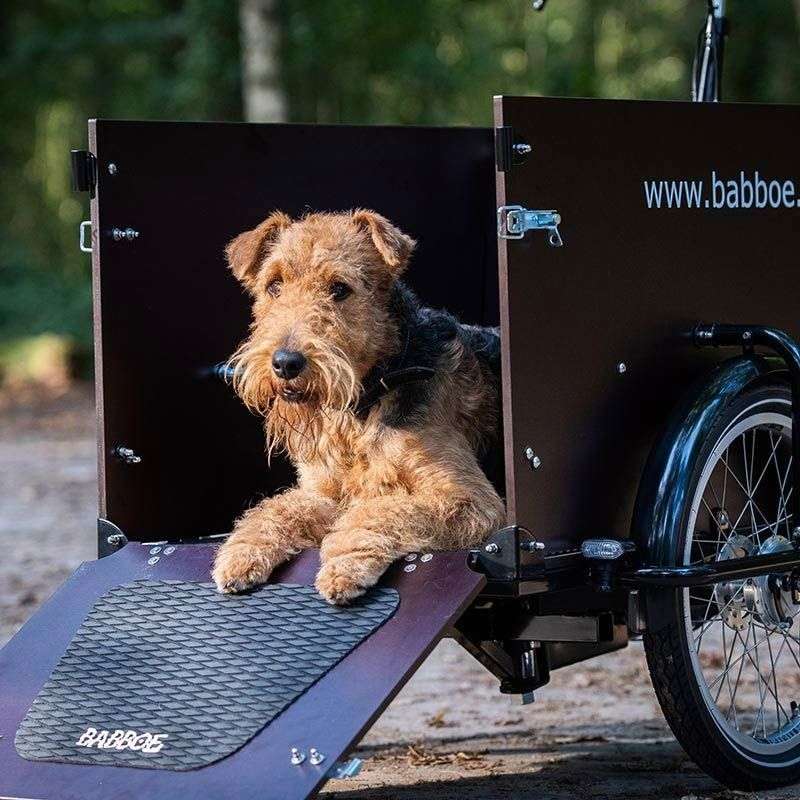 VELO CARGO DOG E