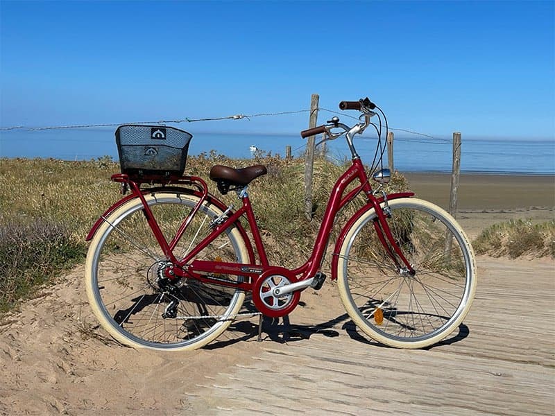Vélo de ville - Charleston