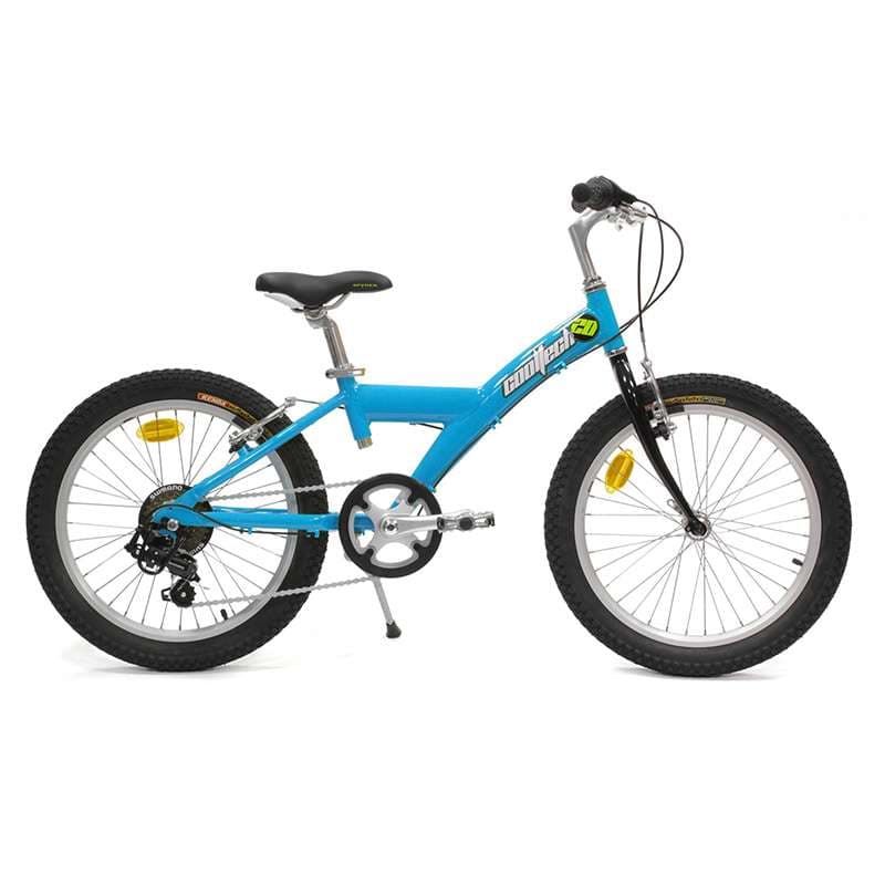 Vélo enfant 20 pouces