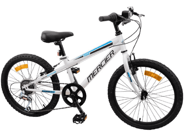 Vélo enfant 20 pouces