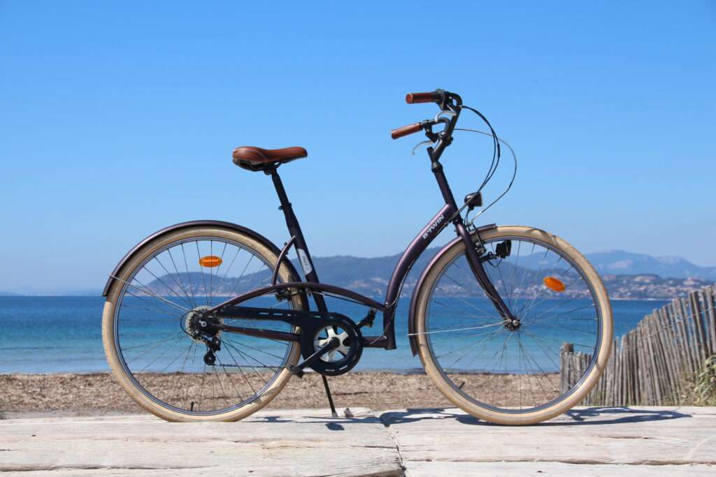 Vélo Hollandais (musculaire) Femme