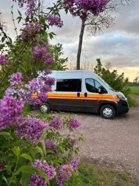 Solveig, Katrine:s Campervan – Skövde