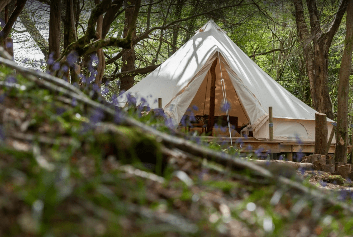 Camp Plas – Welshpool
